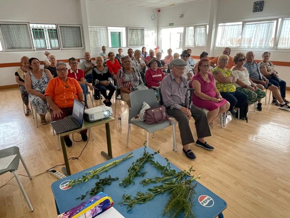 Taller Centro de Día de Atención Social a Personas Mayores de San Miguel de Abona – Tenerife 08-11-2024